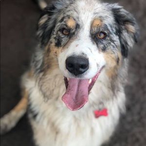 Meet your Posher, Breanna